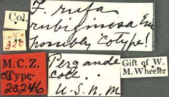 Media type: image; Entomology 23246   Aspect: labels